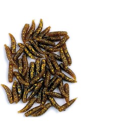 blntackle76 Behr Art Maggots Set of 2 Packs (80 in Total) Bronze Brown Glitter