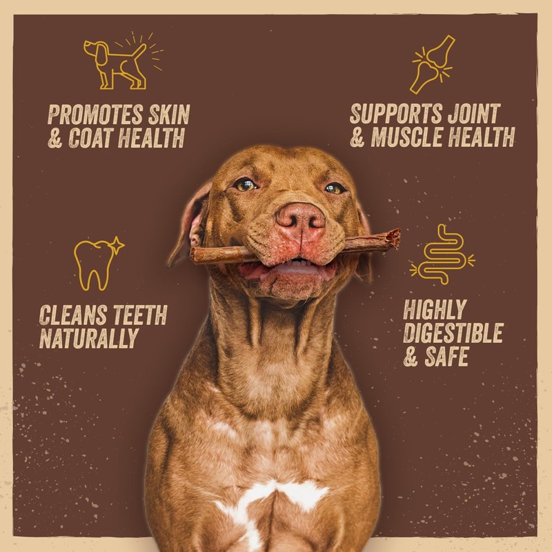 Jack&Pup 12" X-treme Bully Sticks for Large Dogs | Collagen