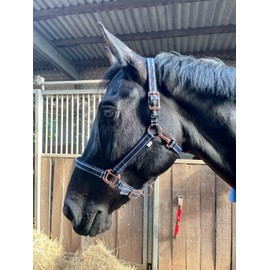 Halter for Horses with Glitter in Rose Gold, Halter Horse in Black and Pink, 2-Way Adjustable (Dark Blue Rose Gold, 400786-630-Darkblue-Shetty)