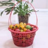 INOOMP 10pcs Plastic Berry Baskets Fruit Picking Basket with Handle