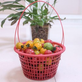 INOOMP 10pcs Plastic Berry Baskets Fruit Picking Basket with Handle Strawberry Basket Storage Blueberry Container for Summer Picking Fruits