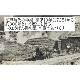 みょうばん湯の里 湯の花美肌マスク5個セット フェイスマスク 美肌マスク×5個 1枚×5個