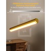 Skairipa Picture Light Battery Operated, Wireless Art Light for Paintings,