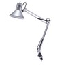 Bostitch Office VLF100-SLV Swing Arm Desk Lamp with Clamp Mount,
