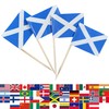 JBCD Scotland Toothpick Flag Scottish Mini Small Cupcake Topper Flags,