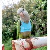 HEZHUO Bird Flight Harness Vest, Parrot Suit with Leash for