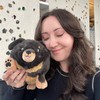 Squishable / Mini Fluffy Dachshund Plush