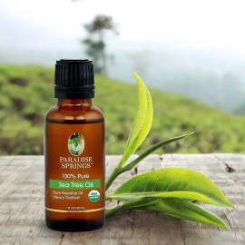 Paradise Springs 100% Pure Essential USDA Organic Tea Tree Oil by Paradise Springs 1 FL OZ 30ml