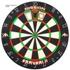 Mission Darts Darryl Fitton's Accuracy Trainer | Dartboard Practice Segments