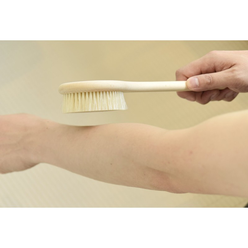 イシミズ(Ishimizu) ライティボディーブラシ