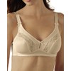 Collections Etc 2-Pack Instant Shaping by Plusform Keyhole Bra 42A