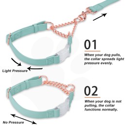Soft Leather Martingale Collar for Dogs, Rose Gold Chain Limited Slip Collars with Quick Release Buckle, Stylish Adjustable Nylon No Pull Training Collar for Small Medium Large Dogs Mint Green Small