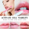 Serum Agrandador de Labios Lanbena Más Rellenos y Sexys