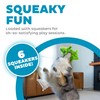 Outward Hound Squeaker Matz Plush Gator Dog Toy, Small