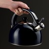 KADAX Stainless Steel Kettle, 1.7 L Kettle in Various Colours,
