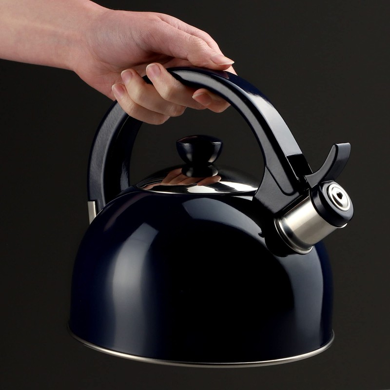 KADAX Stainless Steel Kettle, 1.7 L Kettle in Various Colours,