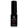Japanese Nail Blooming Gel Nail Artist Series Gel Nail