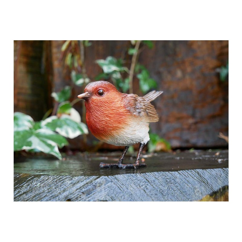 Homes on Trend Garden Robin Bird Ornament Statue Decorative Birds