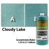 Concrete Resurrection Professional Easy to Apply Water Based Concrete Stain-