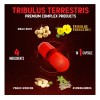 Zolotus 2 Paquetes Tribulus Terrestris Con Maca 90 Cápsulas