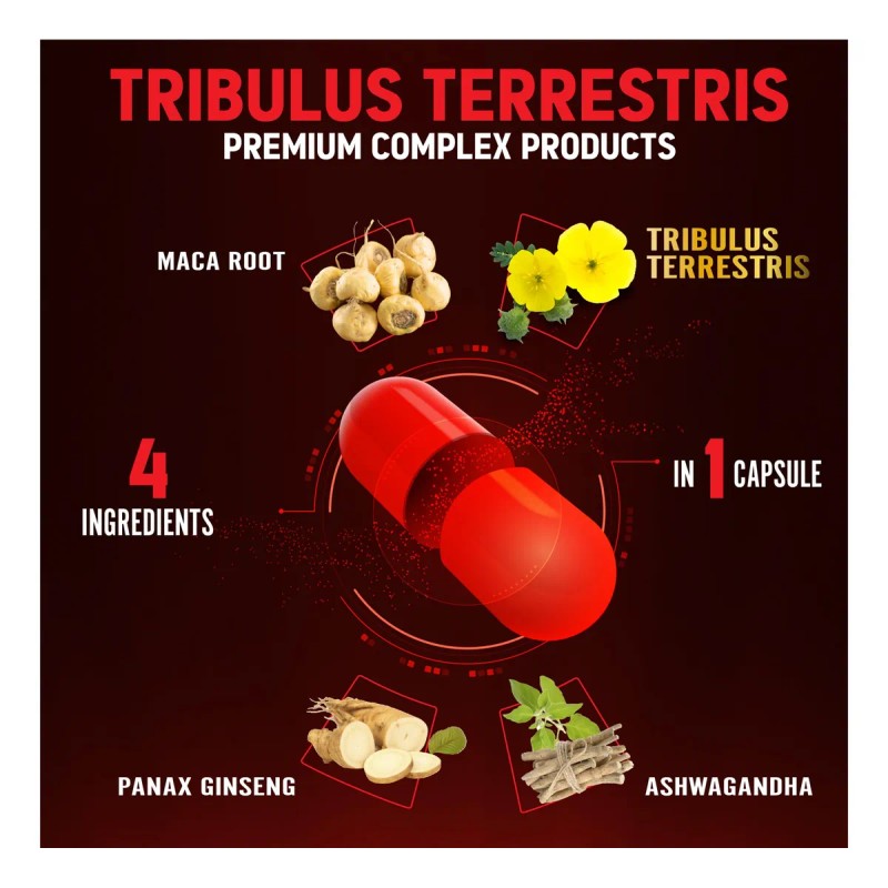 Zolotus 2 Paquetes Tribulus Terrestris Con Maca 90 Cápsulas