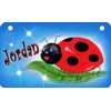 Ladybug Bicycle License Plate Daises Flowers Personalize Gifts