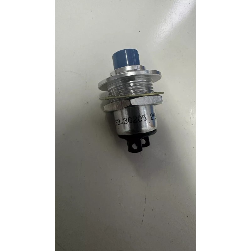 Otto Blue Momentary Push Button Switch P3 30205