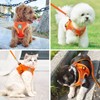 Zhenle Cat Harness, Escape Proof with Cat Lead, Adjustable Reflective
