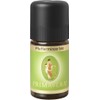 Pfefferminze bio 12 x 5 ml