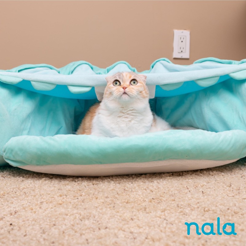 Caitec Presents Nala Cat Tunnel Bed - Collapsible Cat Cave