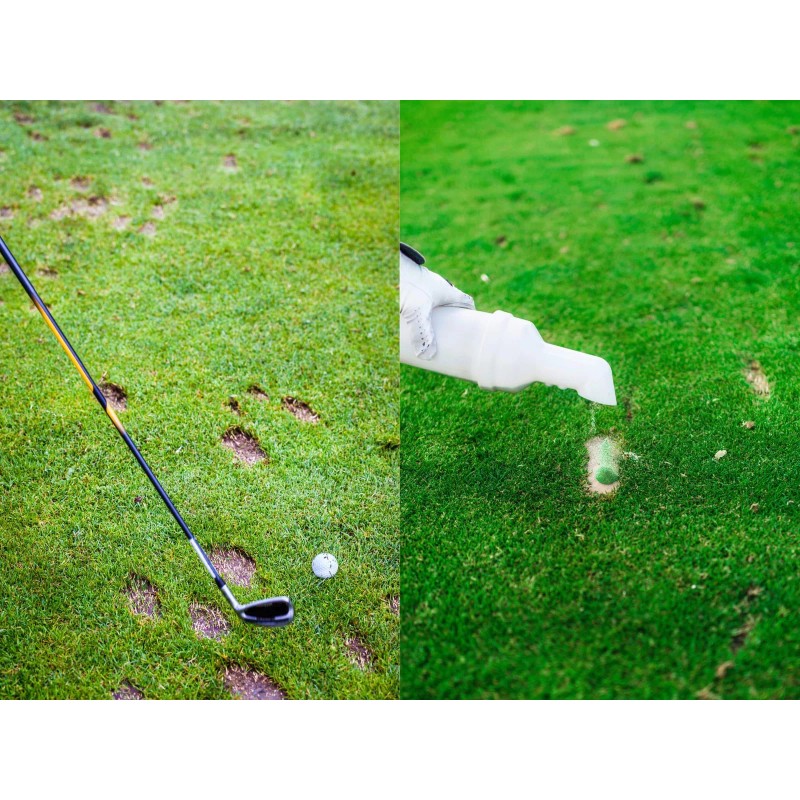 Evergreen Farm and Garden Diamond Pro Green Divot Sand -