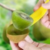 Kiwi Plastic Spoon Fruit Peeler Cutter, Slicer Peeler Cutter for