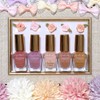 Canmake Foundation Colors 11 Creamy Beige 0.3 fl oz (8