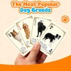 TigoFonge Dog Lovers Playing Cards, 54-Card Deck