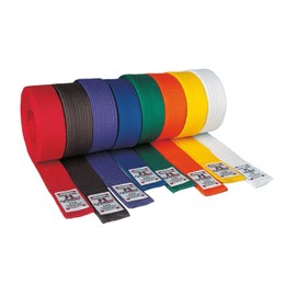 Danrho Taekwondo Judo Ju Jutsu Karate Belt 4 cm Plain
