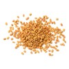 Organic Fenugreek Seeds 250g by Manor Springs Organic