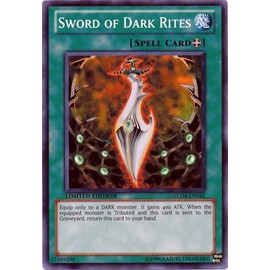 Yu-Gi-Oh! - Sword of Dark Rites GLD4-EN042 Common - Gold Series 4