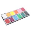 Face Paint Kit Cosmetic Grade 12 Colors Quick Drying Easy