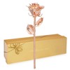 Forever Rose Real Rose Gold Rose, Genuine One of a