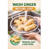 Fresh Organic Ginger Root – Premium, Natural, and Versatile with