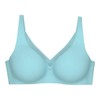 Triumph Women's True Shape Sensation T Minimiser Bra, Silver Blue,