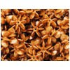 BeadTin Sugar Cone Pearl 18mm Sunburst Plastic Craft Beads (135pcs)