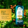 Herbal Essences Acondicionador Bio:Renew Argan Oil Of Morocco, 400 ml