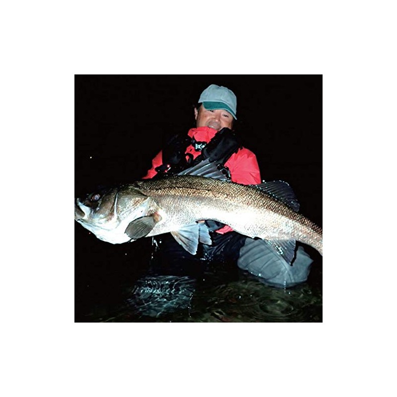 SHIMANO XL-213U 008 Chivas Lure, Sinking Pencil, Exsense, Trident, 130S,