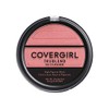 TrueBlend So Flushed High Pigment Blush