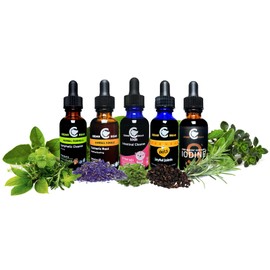 Cedar Bear Chamomile Calmer for Kids Liquid Herbal Supplement That Soothes Nerves, Tummies, Promotes Restful Sleep 1 Fl Oz (Pack of 1)