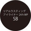 K-パレット(K-Palette) リアルラスティグアイライナー24hWP SB スーパーブラック 0.6ml 0.6ミリリットル (x 1)