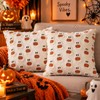 Halloween Imp Pillow Cover for Home Decor – 3D Embroidered