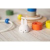 Nichigan DB250 Miffy Kasane Ring Toss
