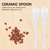 Geieold Set of 5 Ceramic Spoons Tea Spoon Jam Honey